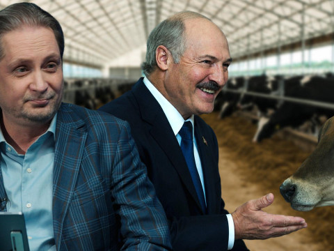 Лукашенко показали, как должна работать настоящая молочная ферма