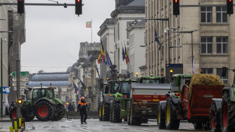 Из-за роста цен на удобрения европейские фермеры перешли на навоз? Проверяем слова главы ОНТ