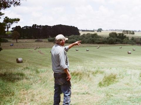 ‘Belarus Is Among Top Countries in Arable Land Per Capita’. Fact-Checking Pro-government TV Claim