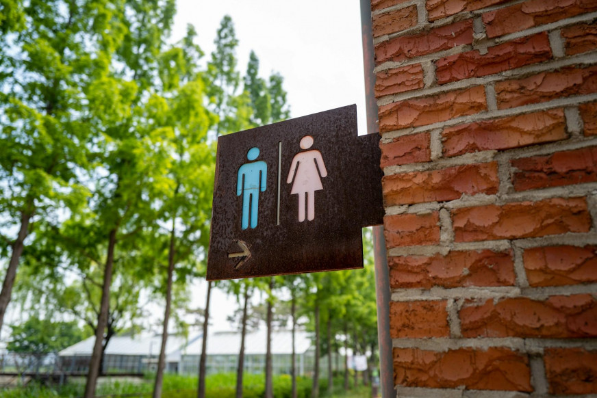 «Зямля наша» выдала інструкцыю па карыстанні прыбіральняй за плакат для праверкі на «бандэраўшчыну»