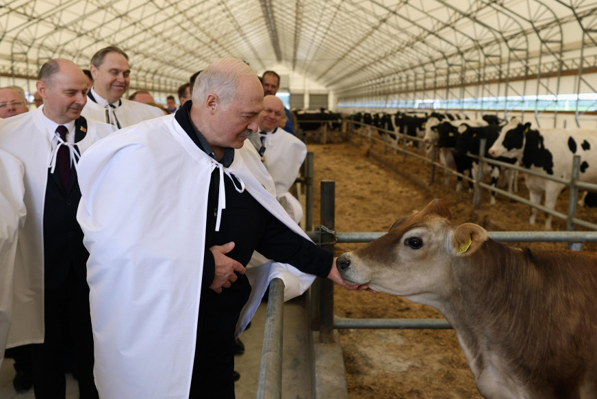 1.8 centners became a 1.8-fold increase: How Belarusian state media inflated farming results