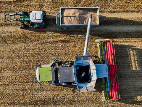 Is 4.6 million tons of grain a lot or a little? What’s wrong with Belarusian Radio’s harvest assessment