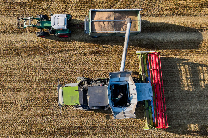 Is 4.6 million tons of grain a lot or a little? What’s wrong with Belarusian Radio’s harvest assessment